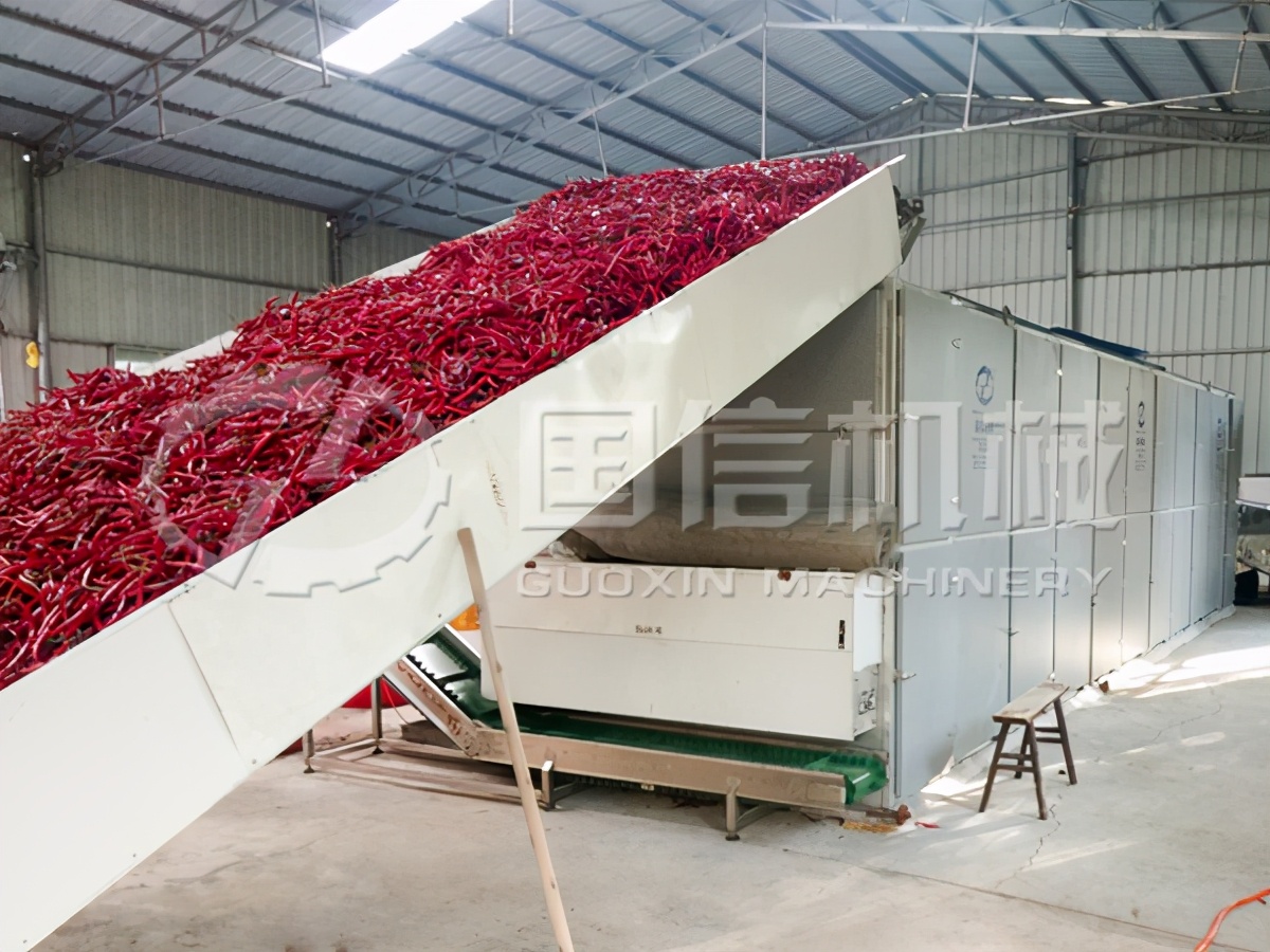 网带式辣椒烘干机，该怎么操作？(6)