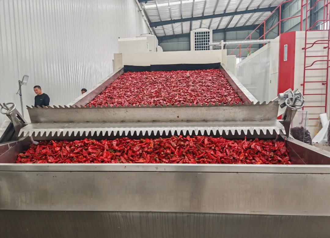 香辛料烘干的 “火候心经”：在温湿度的平衡里锁住草木精华